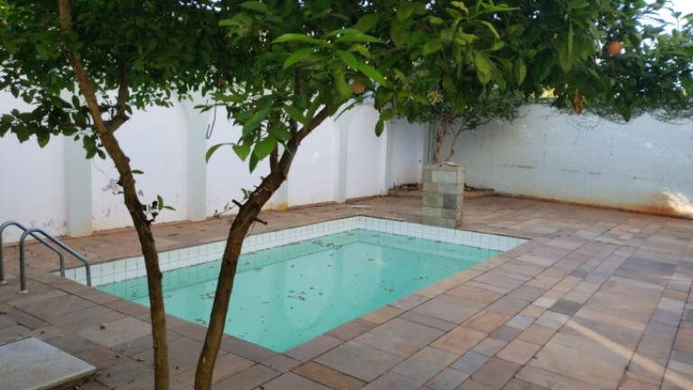 Imagem Casa com 3 Quartos para Alugar, 500 m² em Jardim Das Paineiras - Campinas Imagem Casa com 3 Quartos para Alugar, 500 m² em Jardim Das Paineiras - Campinas