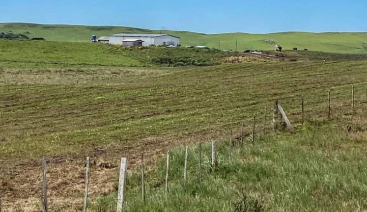 Imagem Fazenda à Venda, 104 m² em Localidade Azulega - Cambara Do Sul