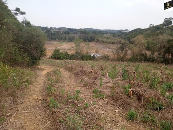 Imagem Imóvel à Venda, 96.800 m² em Colonia Marcelino - São José Dos Pinhais
