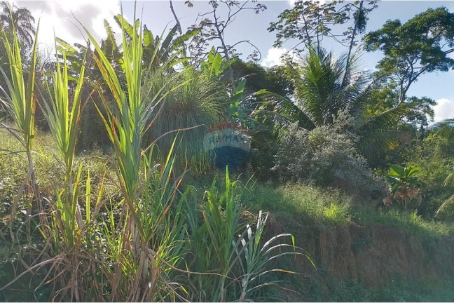 Imagem Terreno à Venda, 2.729 m² em Guaratiba - Rio De Janeiro Imagem Terreno à Venda, 2.729 m² em Guaratiba - Rio De Janeiro
