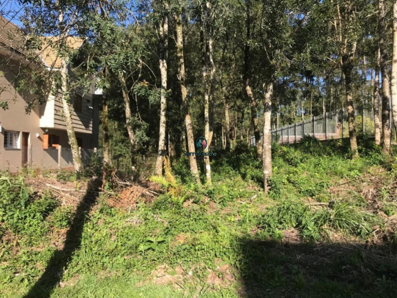 Imagem Terreno à Venda, 825 m² em Vale Das Colinas - Gramado Imagem Terreno à Venda, 825 m² em Vale Das Colinas - Gramado
