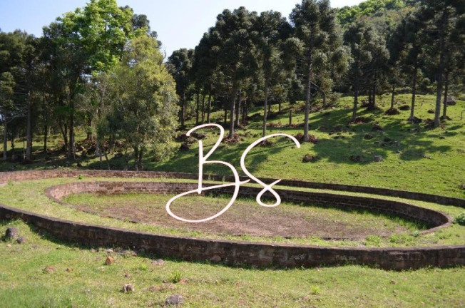 Imagem Imóvel à Venda, 100.000 m² em Linha Bonita - Gramado
