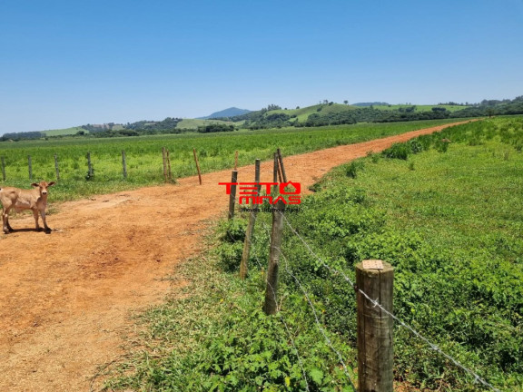 Imagem Imóvel à Venda, 175 m² em área Rural De Pouso Alegre - Pouso Alegre Imagem Imóvel à Venda, 175 m² em área Rural De Pouso Alegre - Pouso Alegre