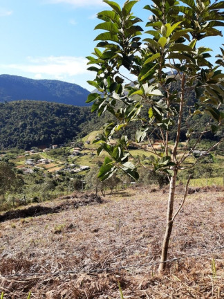 Imagem Terreno à Venda, 2.000 m² em Albuquerque - Teresópolis Imagem Terreno à Venda, 2.000 m² em Albuquerque - Teresópolis