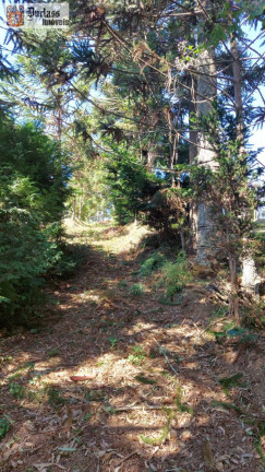 Imagem Chácara com 1 Quarto à Venda, 180 m² em Rural - Gonçalves Imagem Chácara com 1 Quarto à Venda, 180 m² em Rural - Gonçalves
