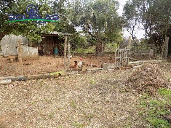 Imagem Casa com 2 Quartos à Venda, 595 m² em Viamão