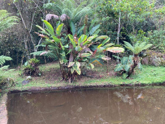 Imagem Imóvel com 6 Quartos à Venda, 544.500 m² em São Geraldo - Nova Friburgo