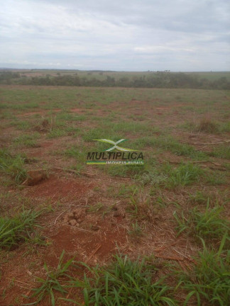 Imagem Fazenda à Venda, 75 m² em Delta Imagem Fazenda à Venda, 75 m² em Delta