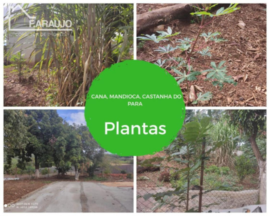 Imagem Imóvel com 6 Quartos à Venda, 600 m² em Piraporinha - Salto De Pirapora