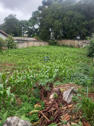 Imagem Terreno à Venda, 423 m² em Costeira - Araucária Imagem Terreno à Venda, 423 m² em Costeira - Araucária