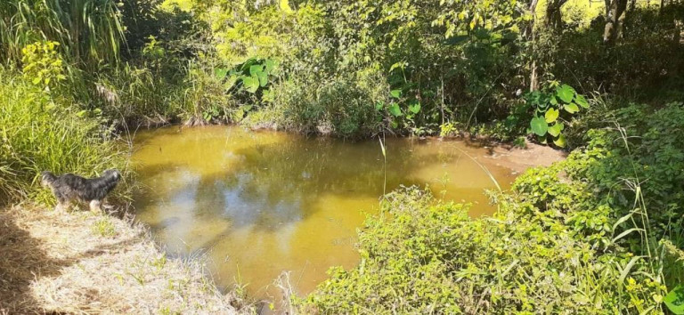Imagem Chácara com 3 Quartos à Venda, 350 m² em Rio Abaixo - Bragança Paulista Imagem Chácara com 3 Quartos à Venda, 350 m² em Rio Abaixo - Bragança Paulista