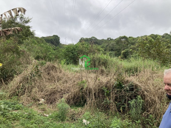 Imagem Imóvel com 3 Quartos à Venda, 140 m² em Rural - Morretes Imagem Imóvel com 3 Quartos à Venda, 140 m² em Rural - Morretes
