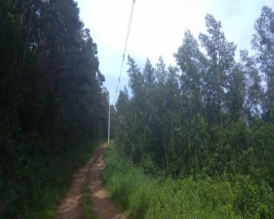 Terreno à Venda, 3 m² em Morro Da Fome - Nova Petrópolis
