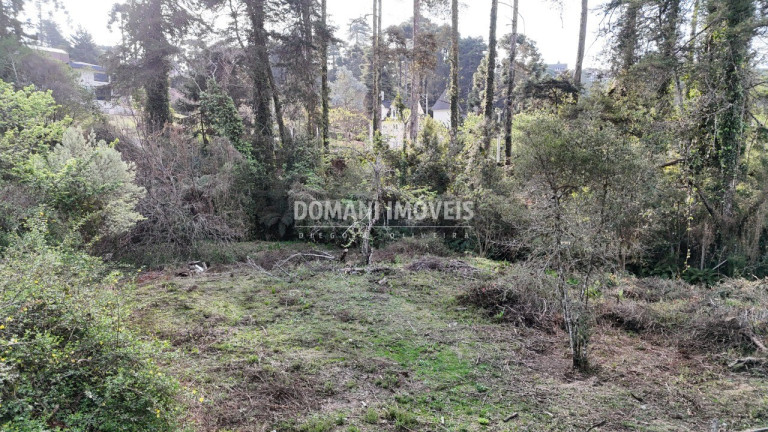 Imagem Terreno à Venda, 1.200 m² em Região De Capivari - Campos Do Jordão Imagem Terreno à Venda, 1.200 m² em Região De Capivari - Campos Do Jordão