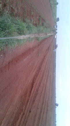 Imagem Fazenda à Venda, 831 m² em Setor Central - São Miguel Do Tocantins Imagem Fazenda à Venda, 831 m² em Setor Central - São Miguel Do Tocantins
