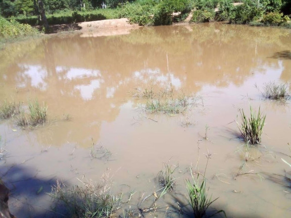 Imagem Fazenda à Venda, 200 m² em Centro - Acorizal Imagem Fazenda à Venda, 200 m² em Centro - Acorizal