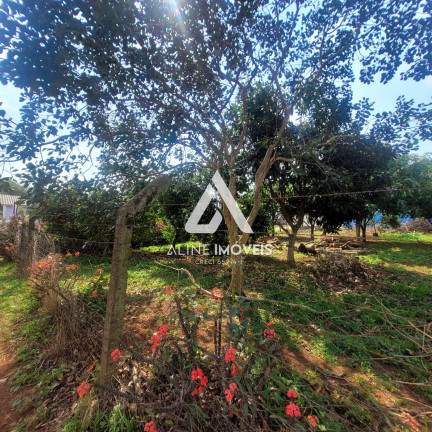 Imagem Terreno à Venda, 312 m² em Toríbio Veríssimo - Cruz Alta Imagem Terreno à Venda, 312 m² em Toríbio Veríssimo - Cruz Alta