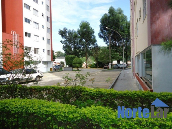 Imagem Apartamento com 2 Quartos à Venda, 51 m² em Jardim Peri - São Paulo