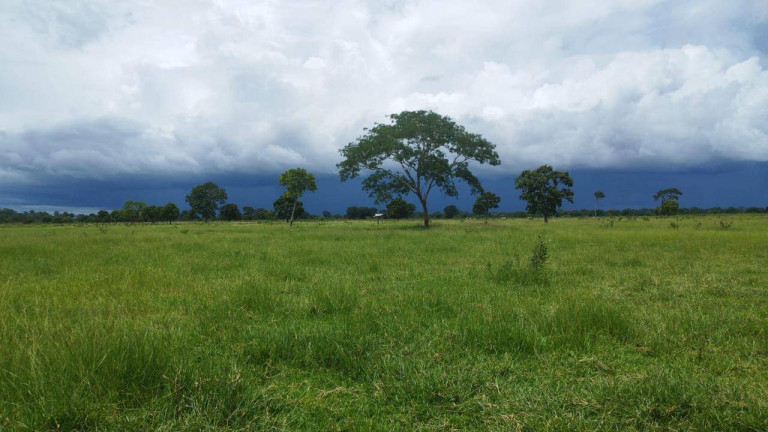 Imagem Fazenda à Venda,  em Rondonópolis