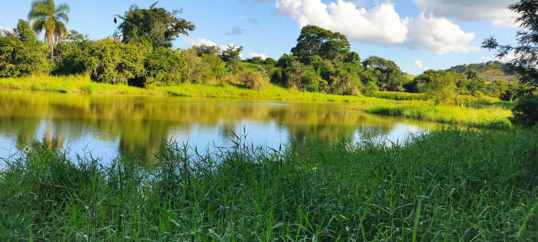 Imagem Chácara com 4 Quartos à Venda, 63 m² em Jardim Marabá - Itapetininga