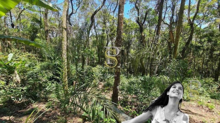 Imagem Terreno à Venda, 1.000 m² em Mato Dentro - Mairiporã Imagem Terreno à Venda, 1.000 m² em Mato Dentro - Mairiporã