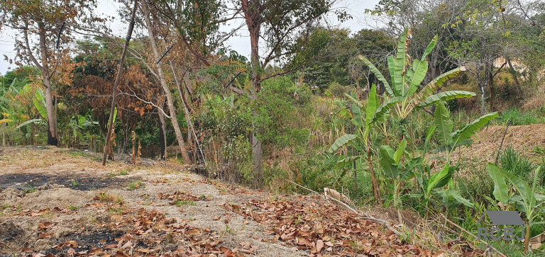 Imagem Terreno à Venda, 1.533 m² em Andiroba - Esmeraldas