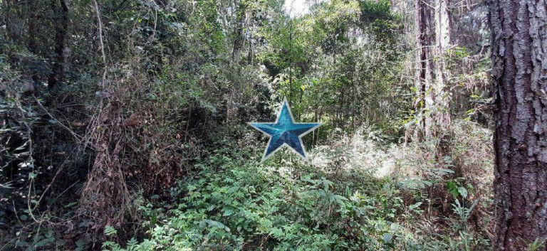 Imagem Imóvel à Venda, 74.000 m² em Fazenda Vitoria - São Lourenço Da Serra