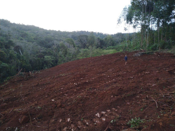 Imagem Terreno à Venda, 12.000 m² em Linha Vitoria - Concórdia Imagem Terreno à Venda, 12.000 m² em Linha Vitoria - Concórdia