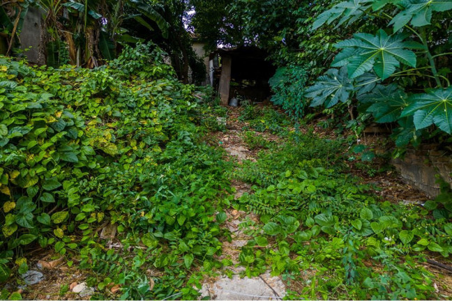 Imagem Terreno à Venda, em Piqueri - São Paulo Imagem Terreno à Venda, em Piqueri - São Paulo