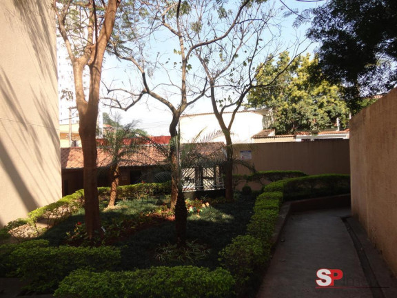 Imagem Apartamento com 2 Quartos à Venda, 47 m² em Jardim Umarizal - São Paulo Imagem Apartamento com 2 Quartos à Venda, 47 m² em Jardim Umarizal - São Paulo
