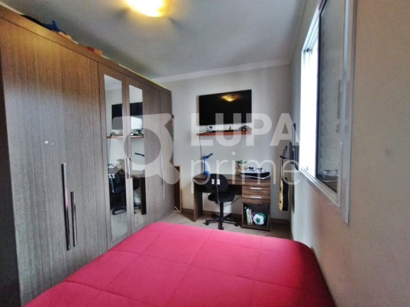 Imagem Apartamento com 3 Quartos à Venda, 69 m² em Vila Guilherme - São Paulo Imagem Apartamento com 3 Quartos à Venda, 69 m² em Vila Guilherme - São Paulo