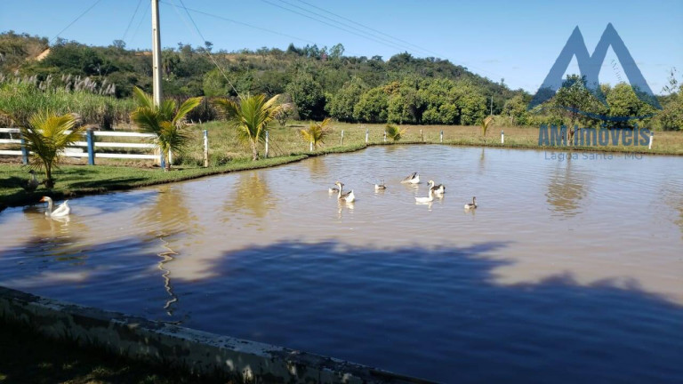 Chácara com 5 Quartos à Venda, 20.000 m² em Curralinho - Jaboticatubas