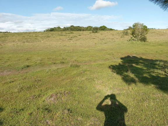 Imagem Chácara à Venda, 60.000 m² em Capão Da Porteira - Viamão Imagem Chácara à Venda, 60.000 m² em Capão Da Porteira - Viamão
