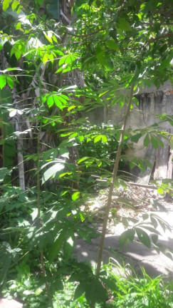 Imagem Imóvel com 2 Quartos à Venda, 80 m² em Campo Grande - Rio De Janeiro