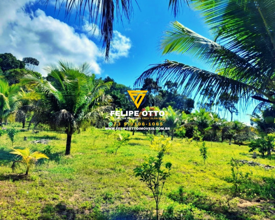 Imagem Imóvel com 2 Quartos à Venda, 80.000 m² em Yaya - Santa Cruz Cabrália Imagem Imóvel com 2 Quartos à Venda, 80.000 m² em Yaya - Santa Cruz Cabrália