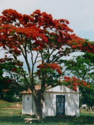 Imagem Imóvel com 16 Quartos à Venda, 550 m² em Zona Rural - Pedreira Imagem Imóvel com 16 Quartos à Venda, 550 m² em Zona Rural - Pedreira