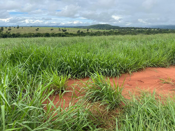 Imóvel à Venda, 128 m² em Area Rural De Cassilandia - Cassilandia