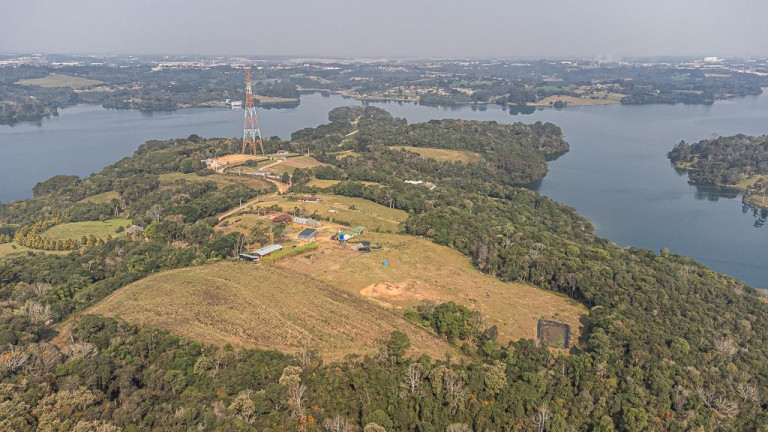 Imagem Imóvel com 1 Quarto à Venda, 22.000 m² em Vila David Antônio - Campo Largo