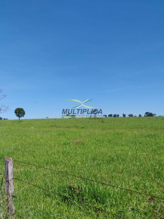 Imagem Fazenda à Venda, 169 m² em Monte Alegre De Minas