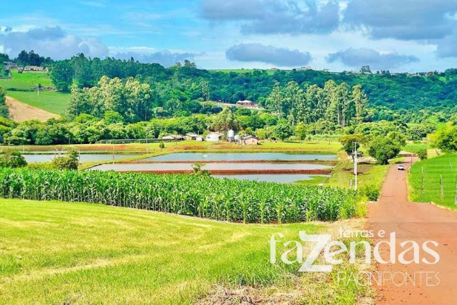 Imagem Fazenda à Venda, 187.200 m² em Vila Nova - Toledo