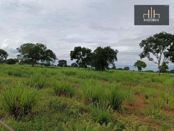 Imagem Fazenda à Venda, 21.000.000 m² em Zona Rural - Nossa Senhora Do Livramento Imagem Fazenda à Venda, 21.000.000 m² em Zona Rural - Nossa Senhora Do Livramento