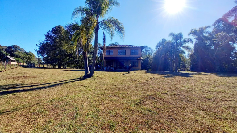 Imagem Fazenda à Venda, 250 m² em Zona Rural - Tijucas Do Sul Imagem Fazenda à Venda, 250 m² em Zona Rural - Tijucas Do Sul