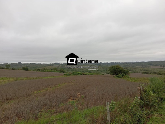 Imagem Imóvel à Venda, 460.000 m² em Centro - Pinheiro Machado Imagem Imóvel à Venda, 460.000 m² em Centro - Pinheiro Machado