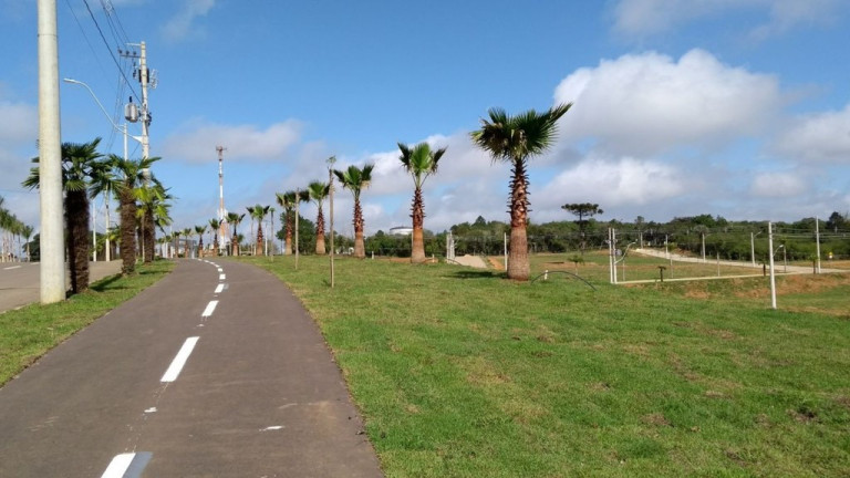 Imagem Terreno à Venda, 290 m² em Centro - Viamão