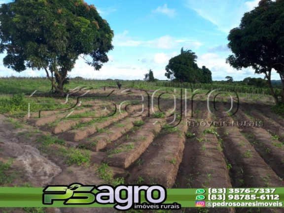 Imagem Terreno à Venda, 80.000 m² em Cidade Balneária Novo Mundo I - Conde Imagem Terreno à Venda, 80.000 m² em Cidade Balneária Novo Mundo I - Conde