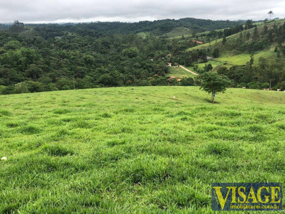Imagem Chácara com 2 Quartos à Venda, 142.000 m² em Santa Isabel