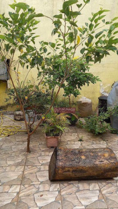 Imagem Sobrado com 4 Quartos à Venda, 152 m² em Lavras - Guarulhos Imagem Sobrado com 4 Quartos à Venda, 152 m² em Lavras - Guarulhos