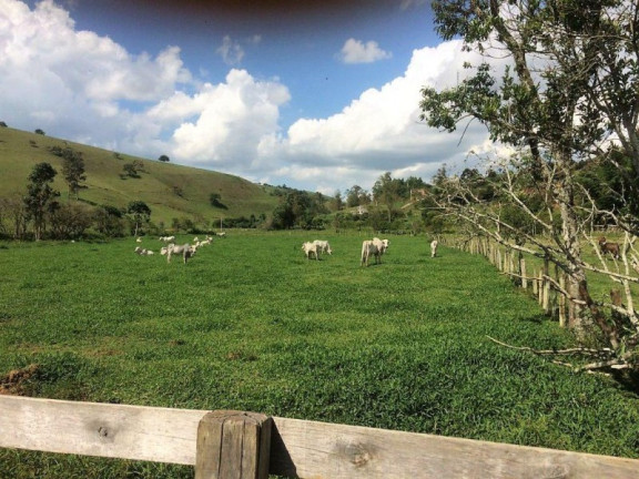 Imagem Imóvel com 3 Quartos à Venda, 448.000 m² em Roseta - Cambuí Imagem Imóvel com 3 Quartos à Venda, 448.000 m² em Roseta - Cambuí