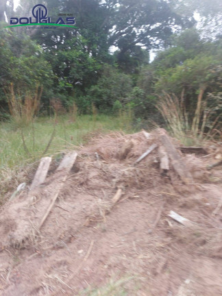 Imagem Imóvel Comercial à Venda, 20.000 m² em Viamão Imagem Imóvel Comercial à Venda, 20.000 m² em Viamão