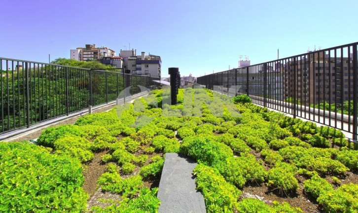 Imagem Apartamento com 1 Quarto à Venda, 67 m² em Petrópolis - Porto Alegre